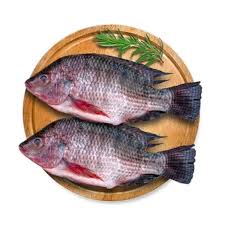 Fresh Tanganyika Sardines (Mikeke Fresh / Dagaa Fresh)