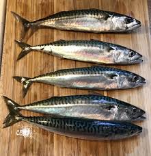 Small Tanganyika Sardines (Dagaa wa Tanganyika)